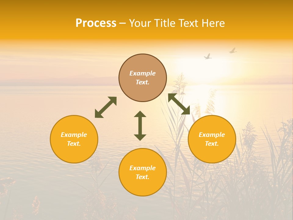 Summer Fish Lake PowerPoint Template