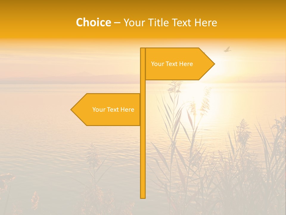 Summer Fish Lake PowerPoint Template