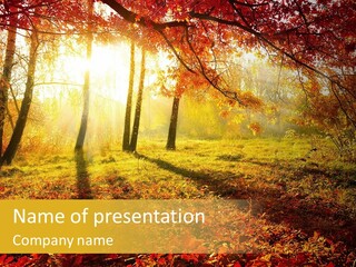 Vibrant Park Leaves PowerPoint Template