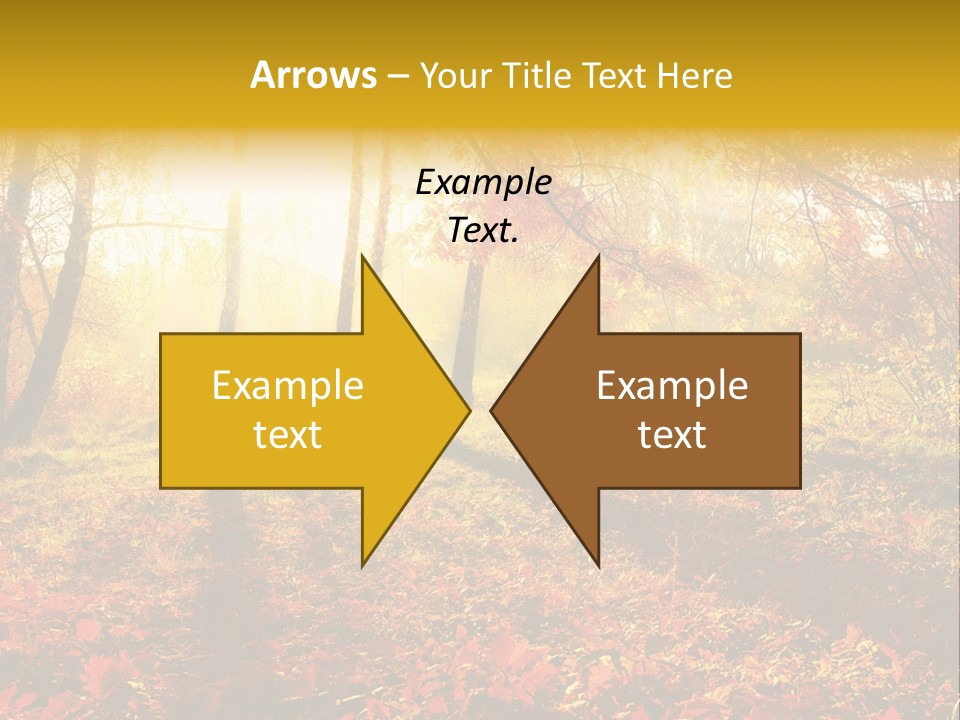 Vibrant Park Leaves PowerPoint Template