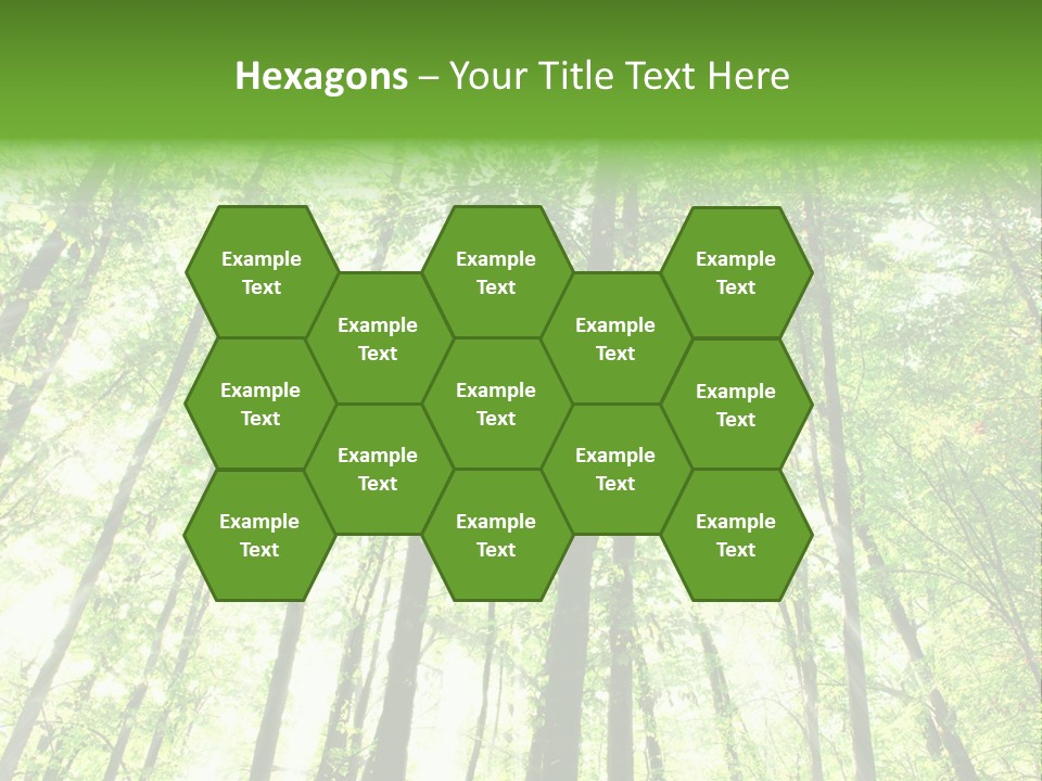 Summer Daylight Outdoor PowerPoint Template