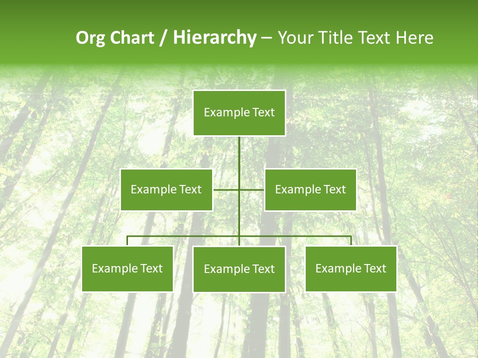Summer Daylight Outdoor PowerPoint Template