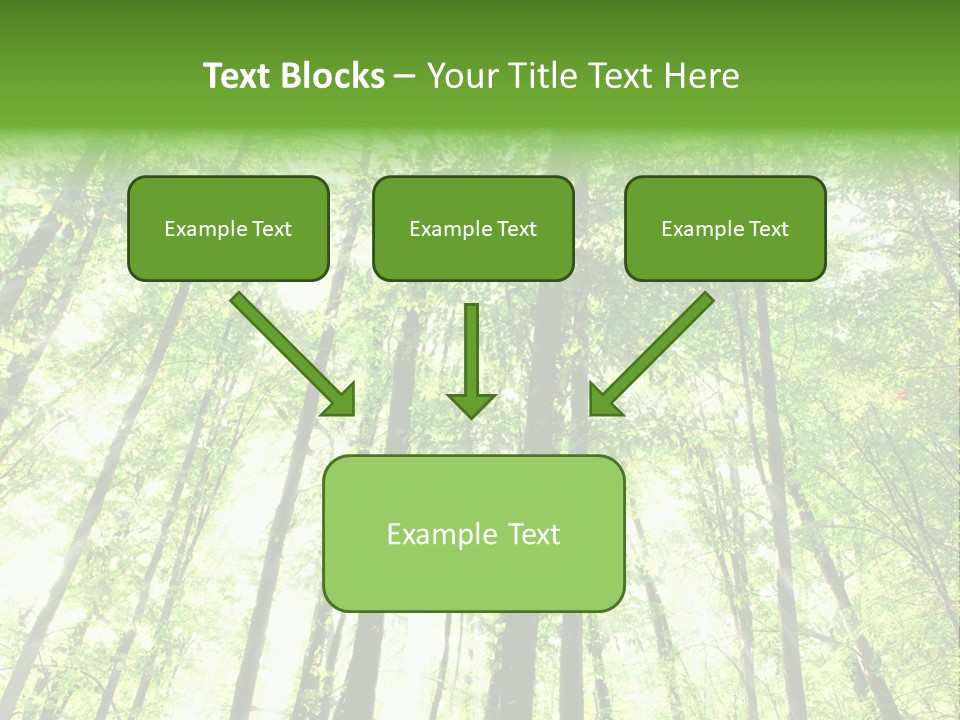 Summer Daylight Outdoor PowerPoint Template