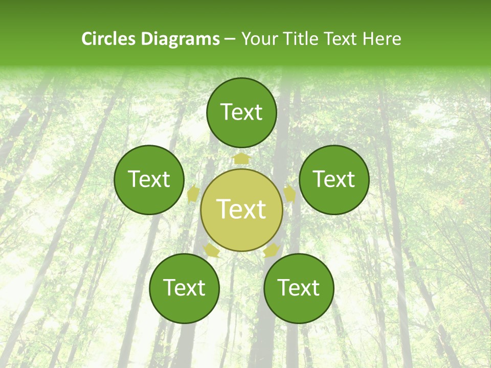 Summer Daylight Outdoor PowerPoint Template