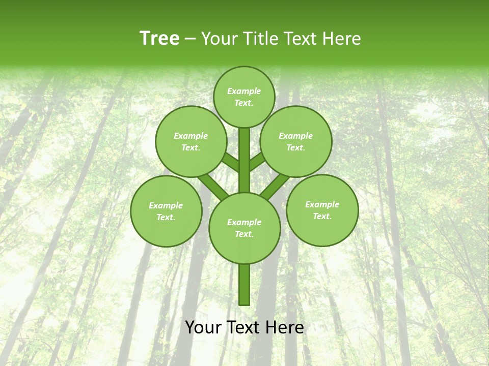 Summer Daylight Outdoor PowerPoint Template