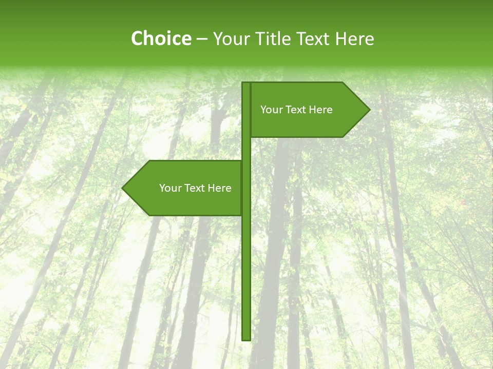 Summer Daylight Outdoor PowerPoint Template