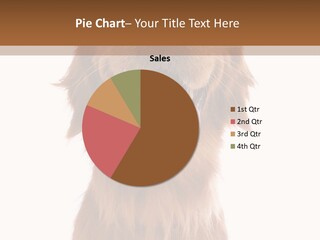 A Brown Dog With His Tongue Hanging Out PowerPoint Template