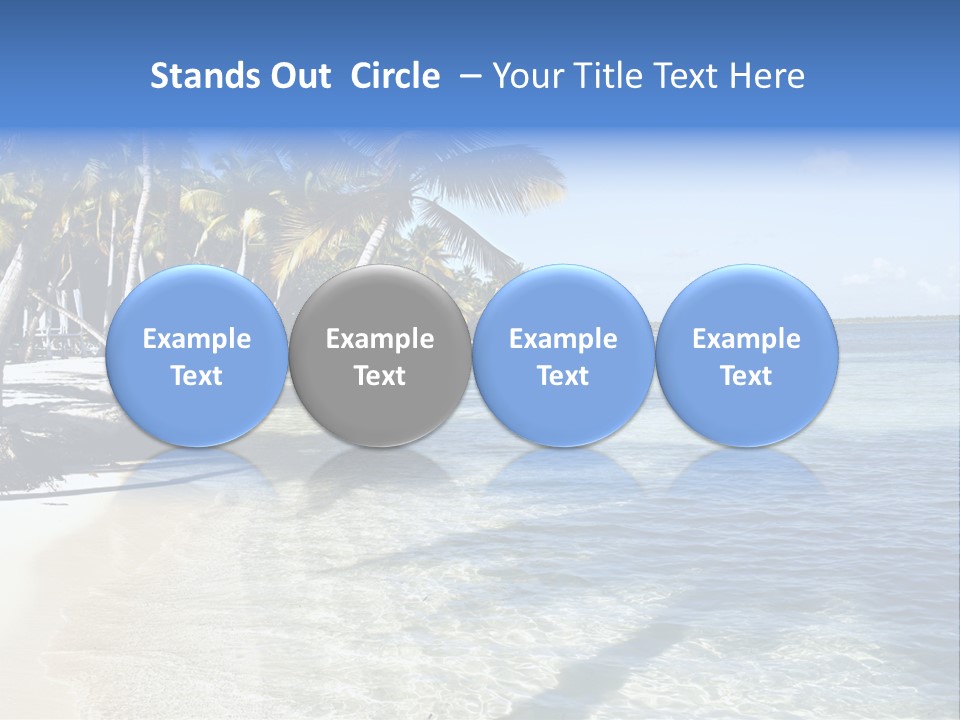 A Sandy Beach With Palm Trees And Water PowerPoint Template
