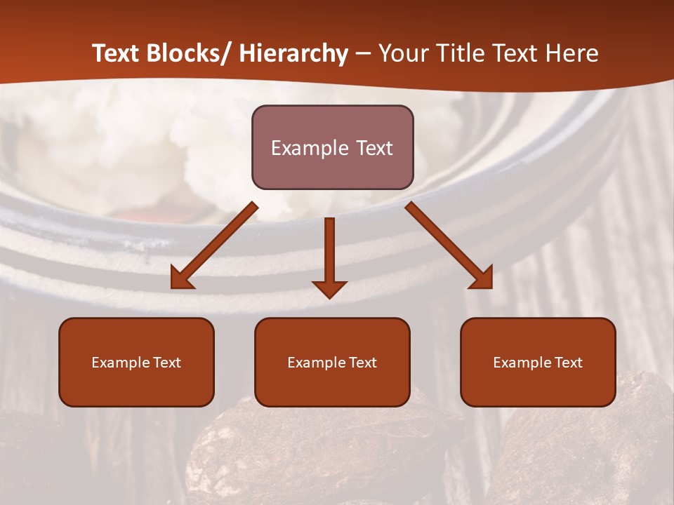 Wood Nut Shea PowerPoint Template