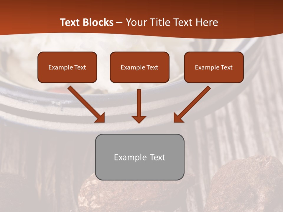 Wood Nut Shea PowerPoint Template