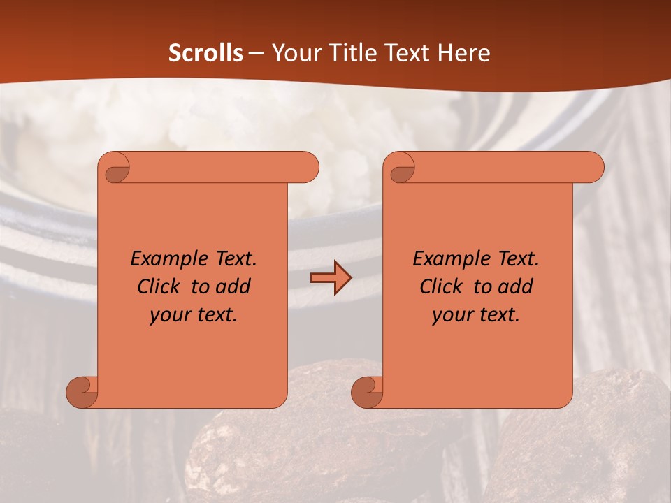 Wood Nut Shea PowerPoint Template