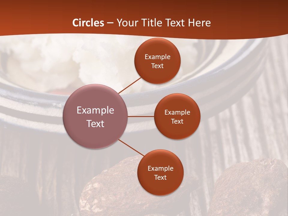 Wood Nut Shea PowerPoint Template