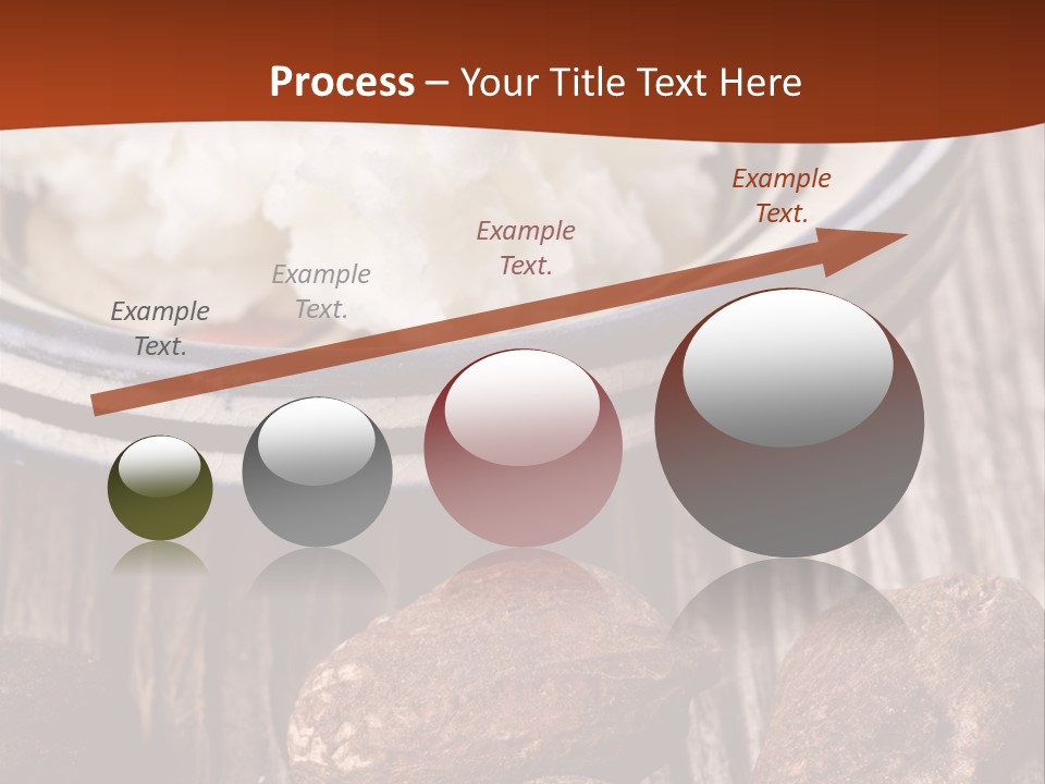 Wood Nut Shea PowerPoint Template