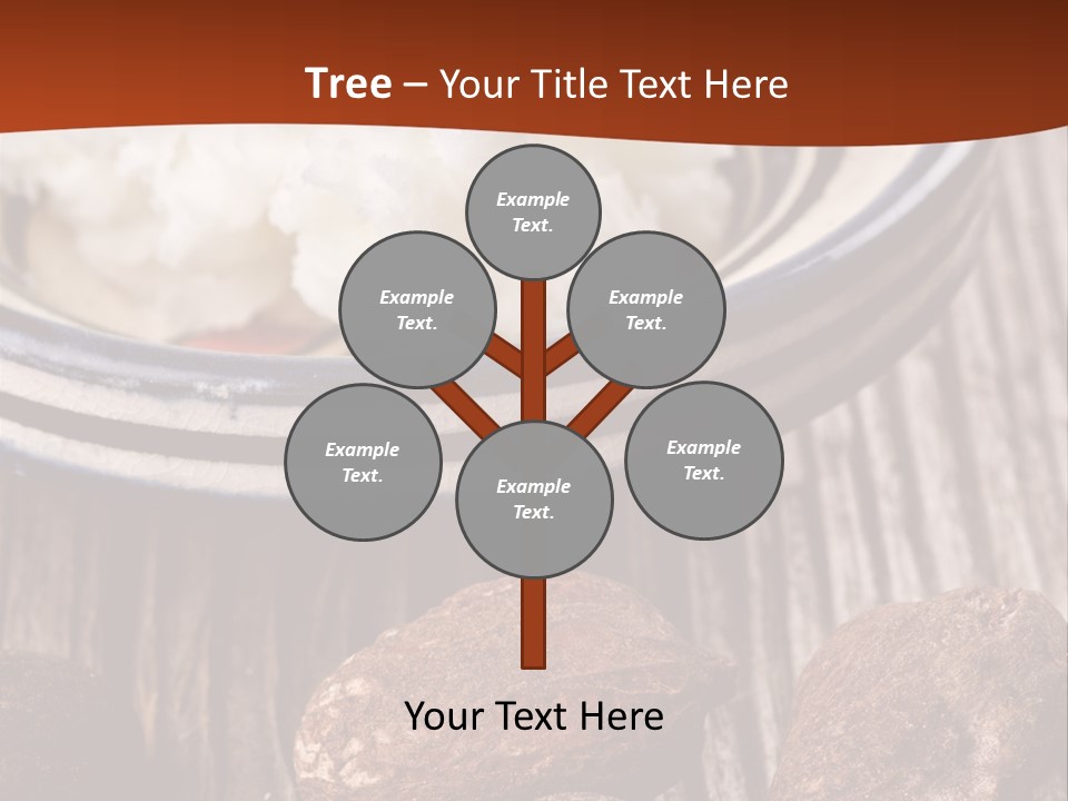 Wood Nut Shea PowerPoint Template