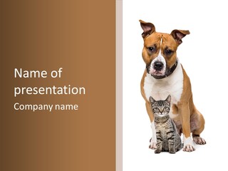 Courageous Breed Animals PowerPoint Template