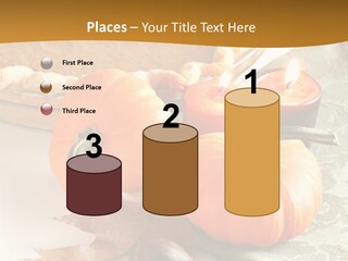 Diagnosis Pet Veterinary PowerPoint Template