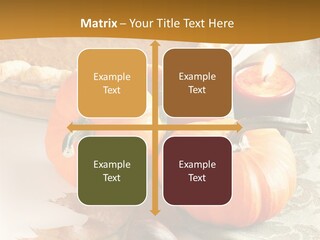 Diagnosis Pet Veterinary PowerPoint Template