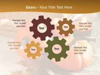 Diagnosis Pet Veterinary PowerPoint Template