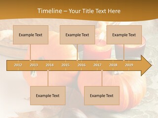 Diagnosis Pet Veterinary PowerPoint Template