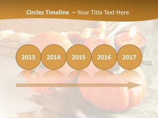 Diagnosis Pet Veterinary PowerPoint Template