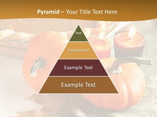 Diagnosis Pet Veterinary PowerPoint Template