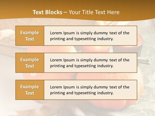 Diagnosis Pet Veterinary PowerPoint Template