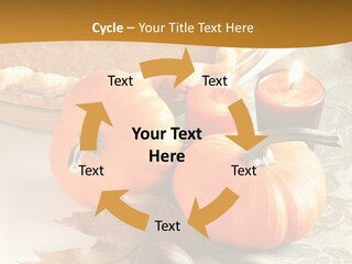 Diagnosis Pet Veterinary PowerPoint Template