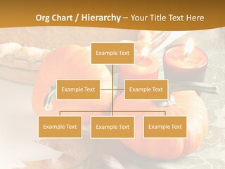 Diagnosis Pet Veterinary PowerPoint Template