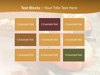 Diagnosis Pet Veterinary PowerPoint Template