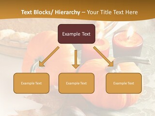 Diagnosis Pet Veterinary PowerPoint Template