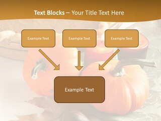 Diagnosis Pet Veterinary PowerPoint Template