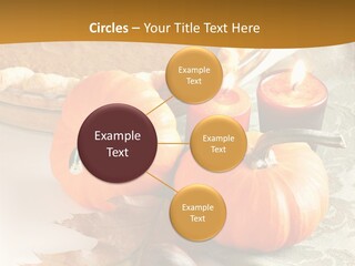 Diagnosis Pet Veterinary PowerPoint Template