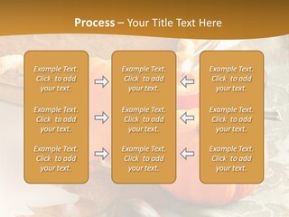 Diagnosis Pet Veterinary PowerPoint Template
