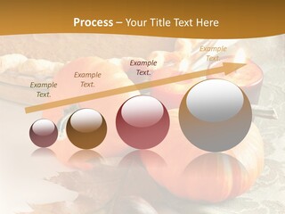 Diagnosis Pet Veterinary PowerPoint Template