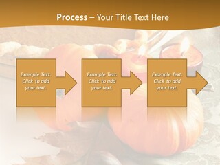 Diagnosis Pet Veterinary PowerPoint Template