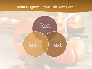 Diagnosis Pet Veterinary PowerPoint Template