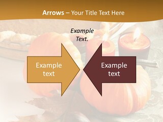 Diagnosis Pet Veterinary PowerPoint Template