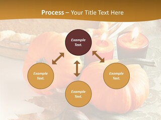 Diagnosis Pet Veterinary PowerPoint Template