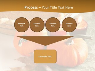 Diagnosis Pet Veterinary PowerPoint Template