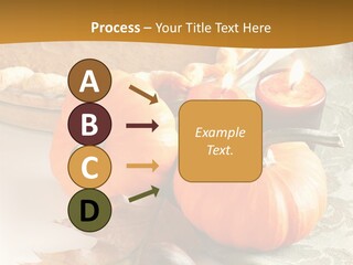 Diagnosis Pet Veterinary PowerPoint Template