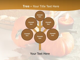 Diagnosis Pet Veterinary PowerPoint Template