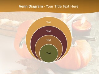 Diagnosis Pet Veterinary PowerPoint Template