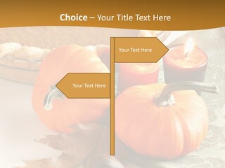 Diagnosis Pet Veterinary PowerPoint Template