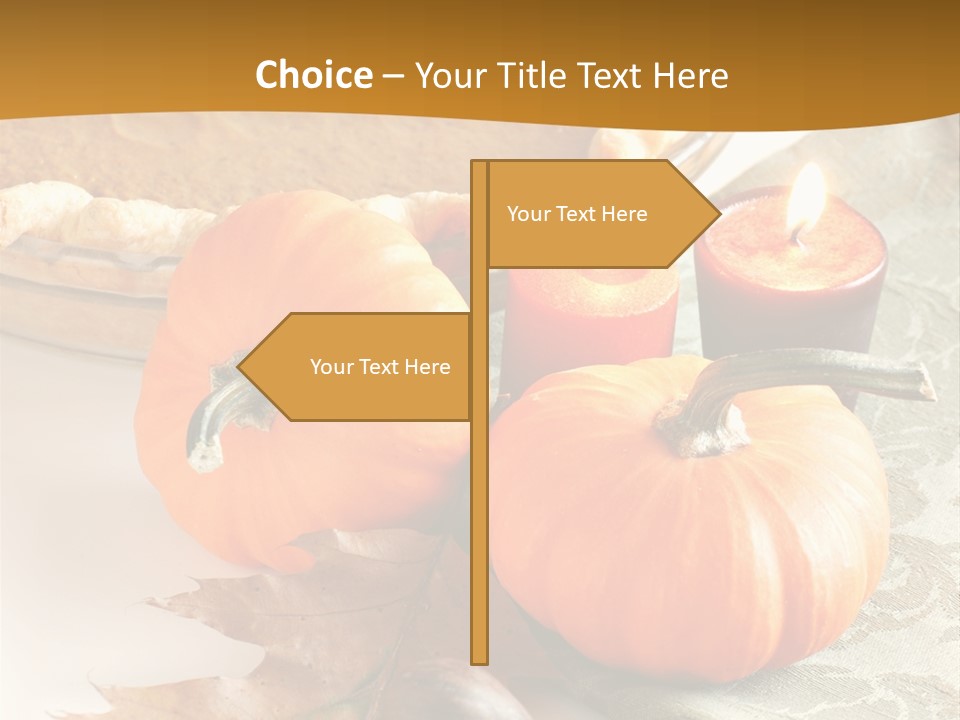 Diagnosis Pet Veterinary PowerPoint Template