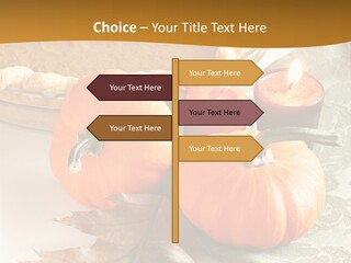 Diagnosis Pet Veterinary PowerPoint Template