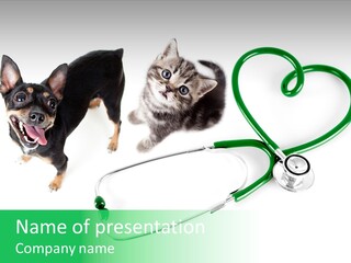 Diagnosis Pet Veterinary PowerPoint Template