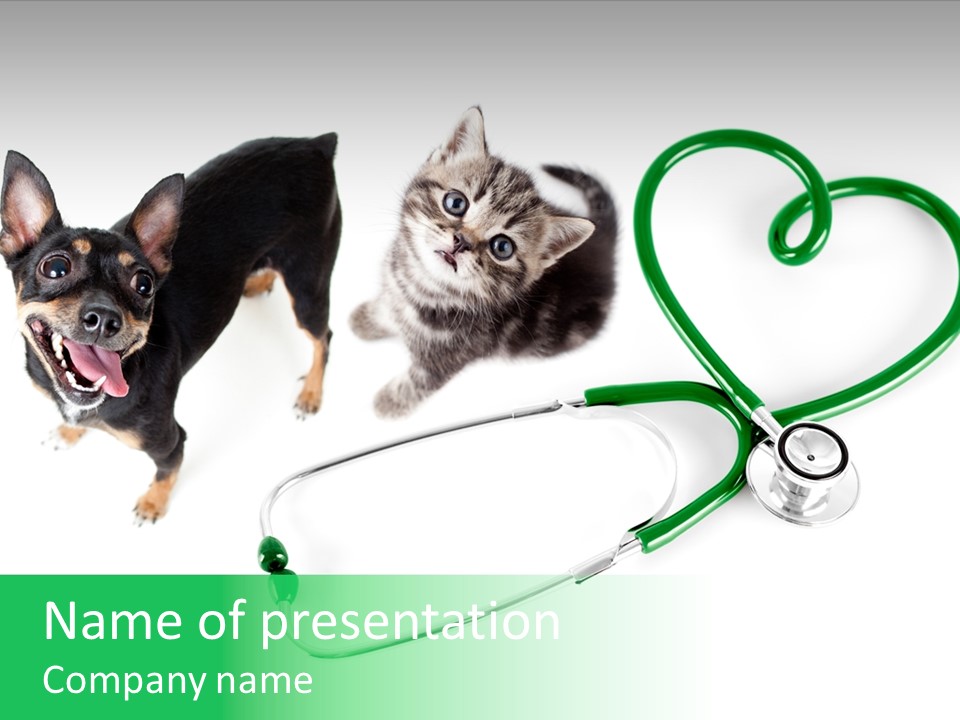 Diagnosis Pet Veterinary PowerPoint Template