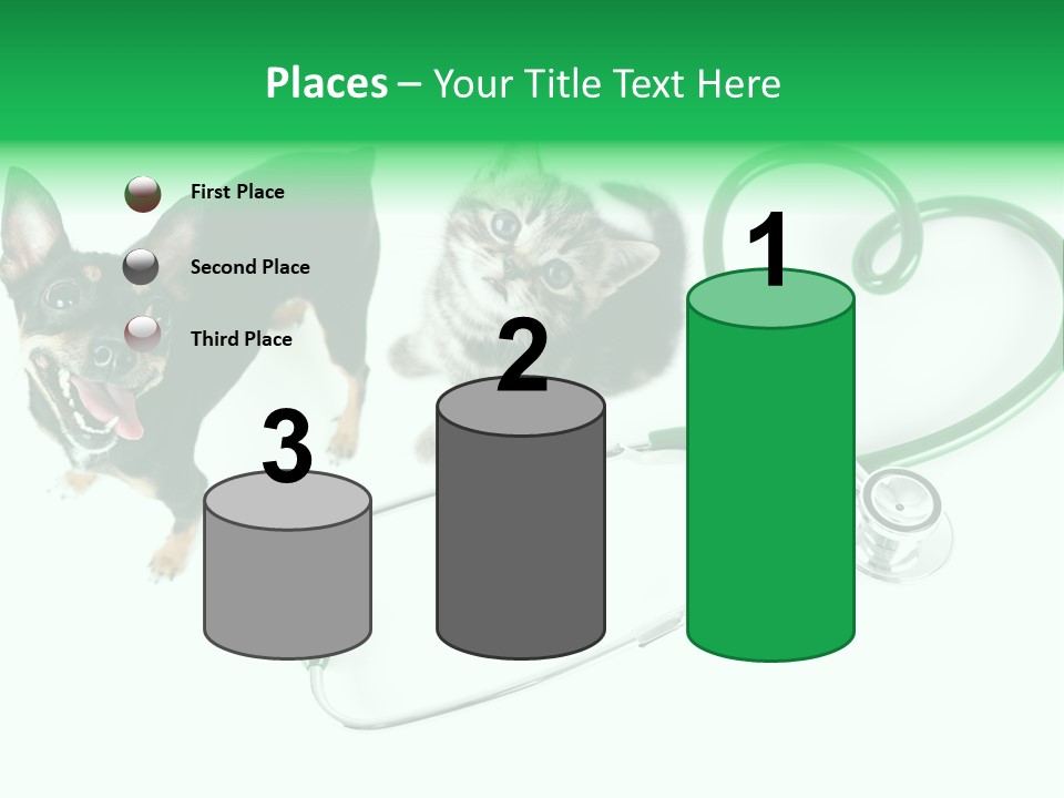 Diagnosis Pet Veterinary PowerPoint Template