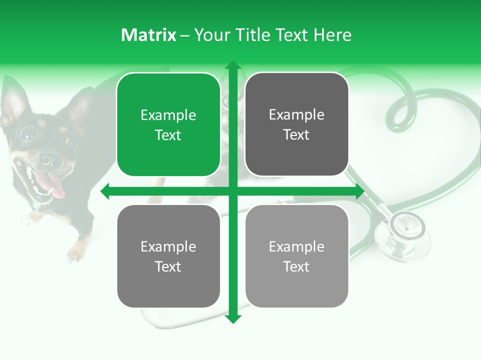 Diagnosis Pet Veterinary PowerPoint Template