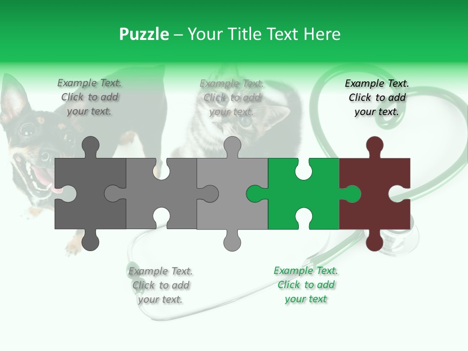 Diagnosis Pet Veterinary PowerPoint Template